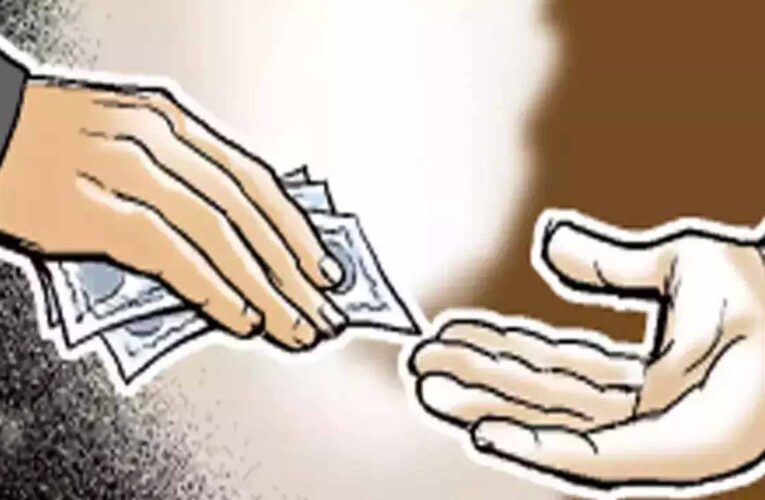 किसान से रिश्वत लेते पकड़ाई  महिला पटवारी