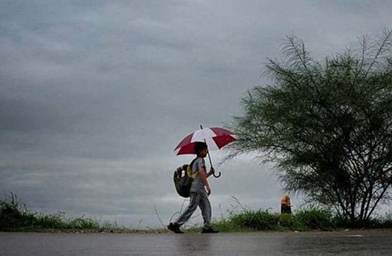 दक्षिण-पश्चिम मानसून आमद दर्ज करा रहा, अलग-अलग स्थानों पर 4 मौसम प्रणालियां भी बनी हुई हैं, वर्षा के आसार