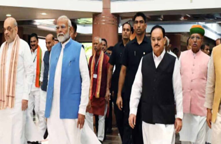 70% वोट पाकर जीते सिर्फ सात सांसद, सभी BJP के; कौन हैं वो 7 बड़े नाम?