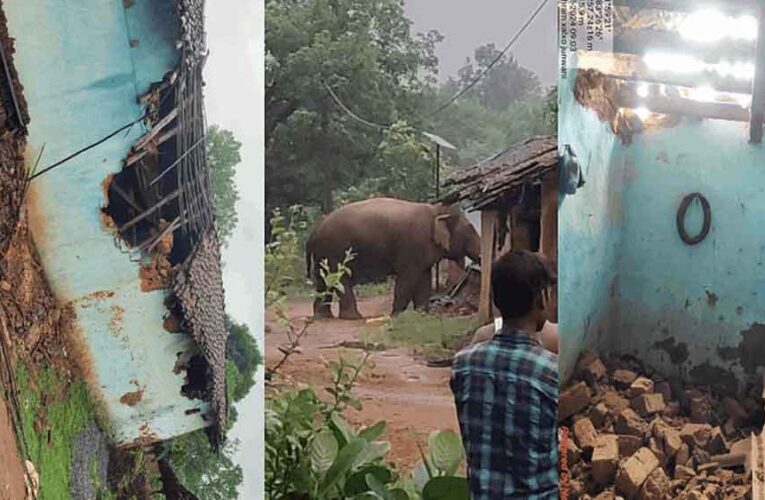 छत्तीसगढ़-रायगढ़ में दंतैल हाथी ने किए घर क्षतिग्रस्त, धान-चावल चट करने से ग्रामीणों में दहशत