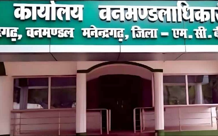 वनमण्डल अफसरों का चारागाह बना जंगली कोयला