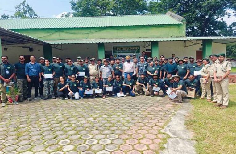 बांधवगढ़ टाईगर रिजर्व में बसा तितलियो का संसार, दो दिवसीय सर्वे में सौ से अधिक प्रजाति की तितलियां जंगल में मिली