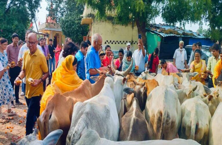 गौशाला में हुआ वृद्ध, अपाहिज गायों के लिए विशाल भंडारा