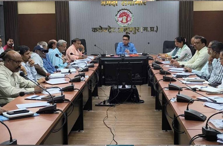 अवैध निर्माण के विरूद्ध तत्काल कार्यवाही की जाए-कलेक्टर