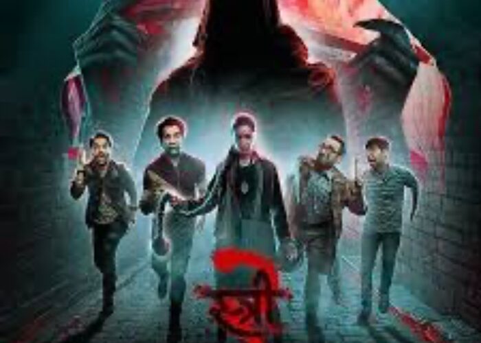 स्त्री 2 फिल्म ने बनाया नया अनोखा रिकॉर्ड