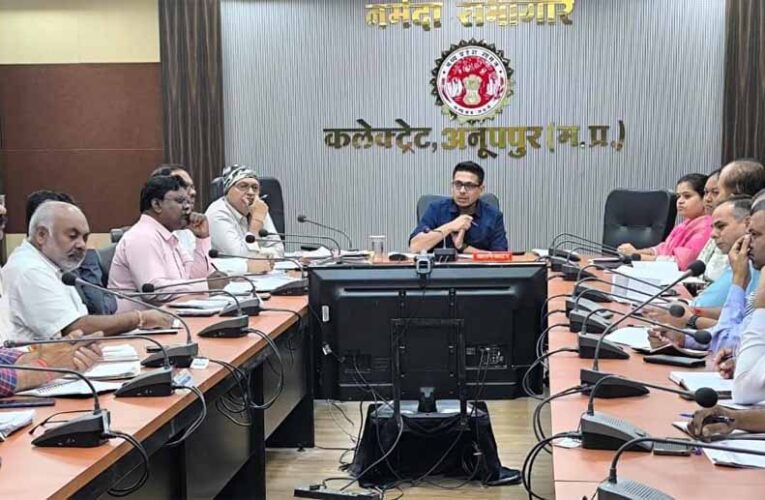 ग्रामवार शिविर लगाकर राजस्व मामलों का निराकरण सुनिश्चित करें: कलेक्टर