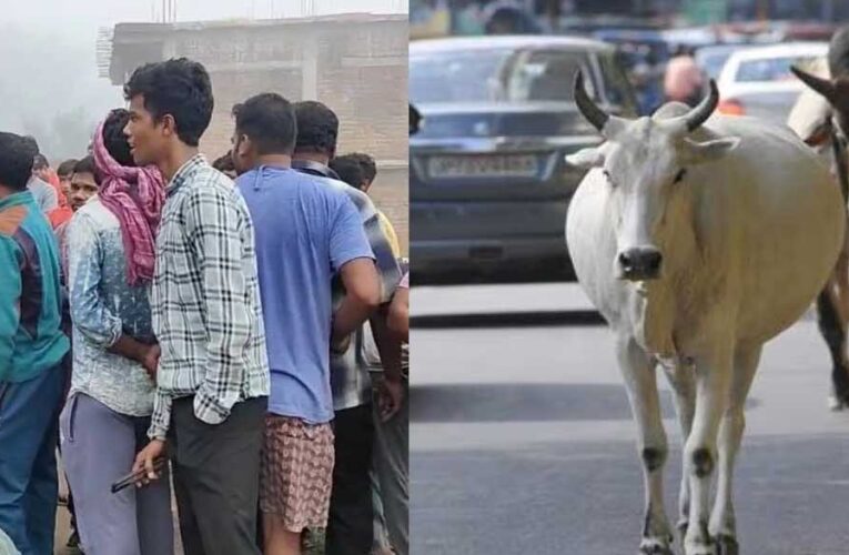 मवेशियों की समस्या से भड़के किसानो ने सड़क पर दिया धरना