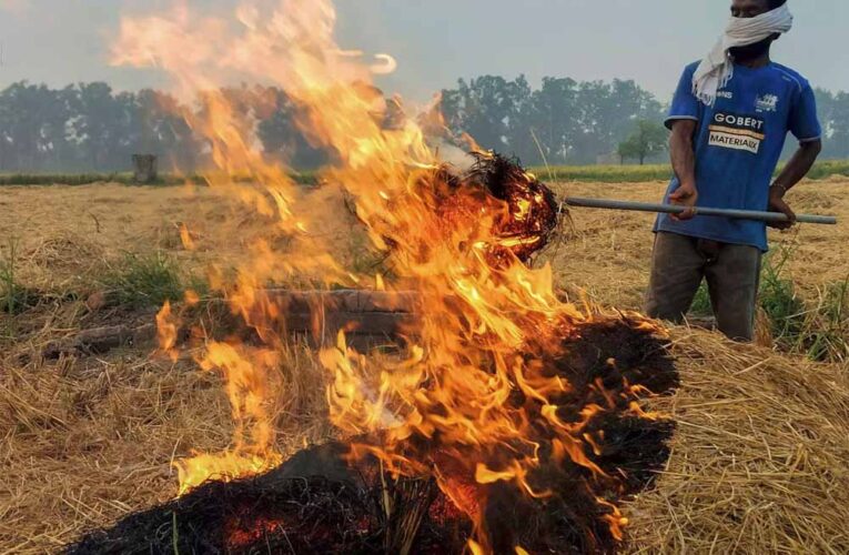 सुप्रीम कोर्ट ने प्रदूषण और पराली जलाने के मामले से निपटने के लिए गठित वायु गुणवत्ता प्रबंधन आयोग को फटकार लगाई
