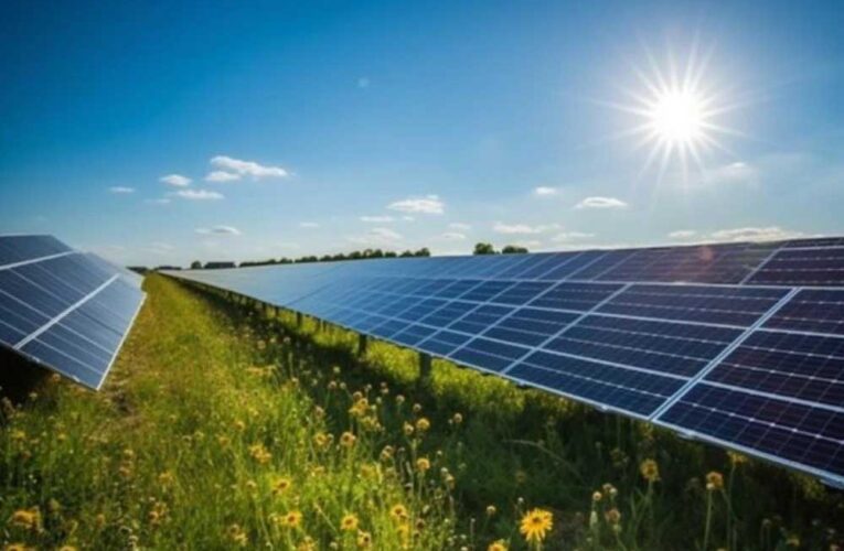 कृषि विश्वविद्यालय में लगेगा सौर ऊर्जा माडल, खेती संग बिजली उत्पादन का नवाचार