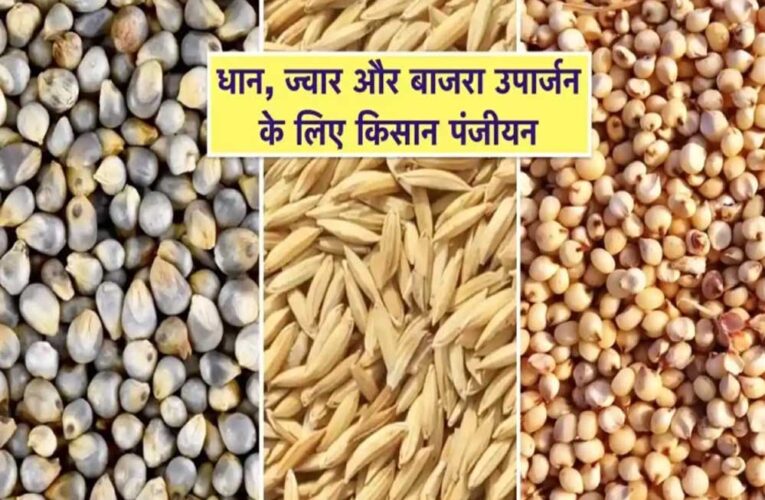 धान, ज्वार और बाजरा उपार्जन के लिए 6 जिलों में किसान पंजीयन 21 अक्टूबर तक