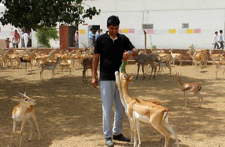 बिश्नोई समाज का ना शमशान घाट ना  कब्रिस्तान और ना ही मोक्ष धाम, फिर कैसे होता है अंतिम संस्का