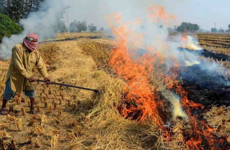 हरियाणा में पराली जलाने पर 14 किसान अरेस्ट, कई जिलों में ऐक्शन; ताबड़तोड़ मुकदमे