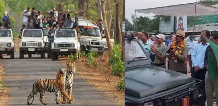 राजस्थान-सवाई माधोपुर के रणथंभौर नेशनल पार्क में पर्यटन सत्र शुरू, मुख्य वन संरक्षक ने दिखाई हरी झंडी