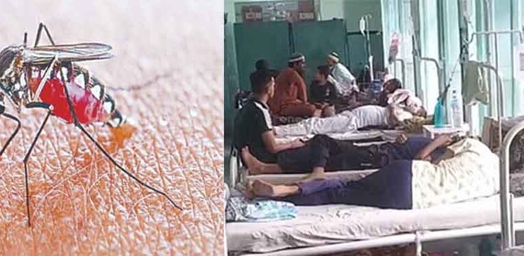 राजस्थान-बीकानेर में डेंगू के मरीज 400 के पार, अलर्ट मोड पर स्वास्थ्य विभाग