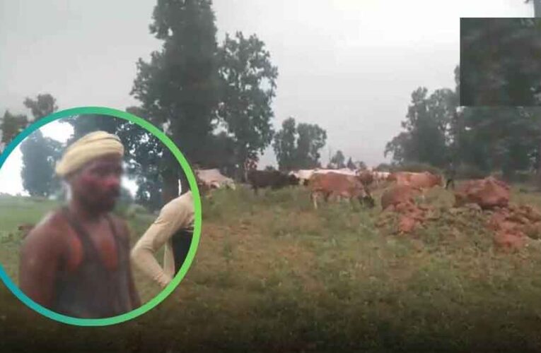 छत्तीसगढ़-जशपुर में फसल चरने दबंगों ने खेत में छोड़ दिए मवेशी, रोकने पर किसानों को किया लहूलुहान