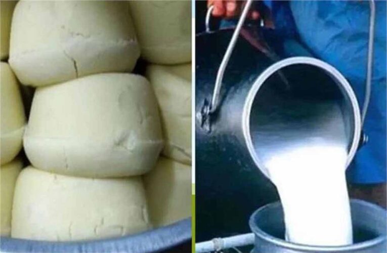 दूध दही के खाने के लिए मशहूर हरियाणा में धड़ल्ले से मिलावटी खाद्य पदार्थ बिक रहे, लोग हो रहे बीमार