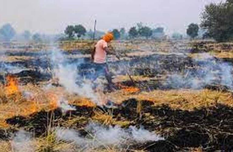 मजिस्ट्रेट फिरोजपुर द्वारा पराली को जलाने पर पाबंदी लगाने के बावजूद पराली जलने के आरोप में पुलिस ने 7 मामले दर्ज किए