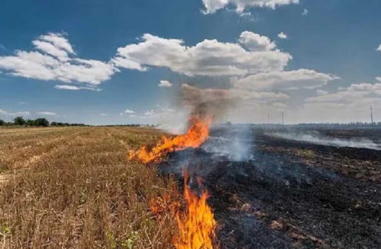 हरियाणा के आधा दर्जन शहरों की हवा खराब, कृत्रिम बारिश की तैयारी, मंत्री राव नरबीर ने अधिकारियों से तलब की रिपोर्ट