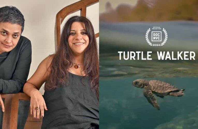 17 नवंबर को डॉक एनवाईसी में होगा टर्टल वॉकर का वर्ल्ड प्रीमियर