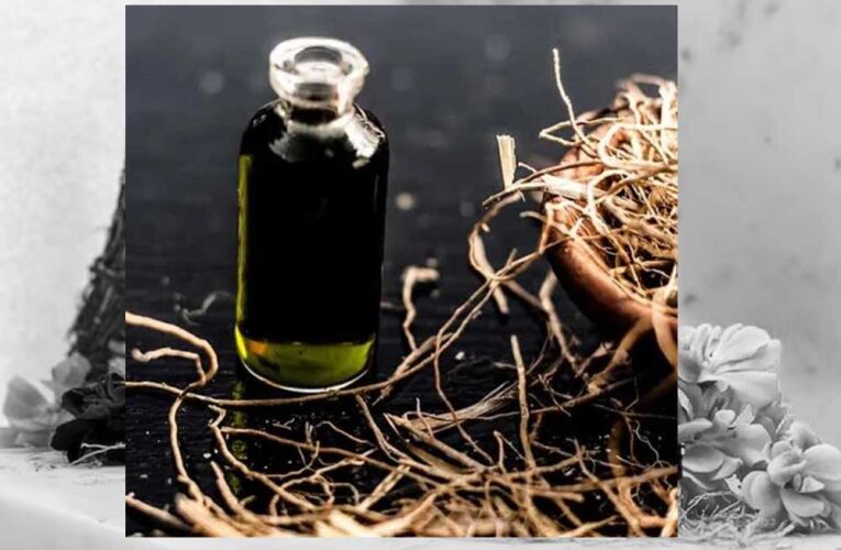 क्लाइमेट चेंज के कारण खस की घास से तेल का उत्पादन 2023 में 20% तक गिरा