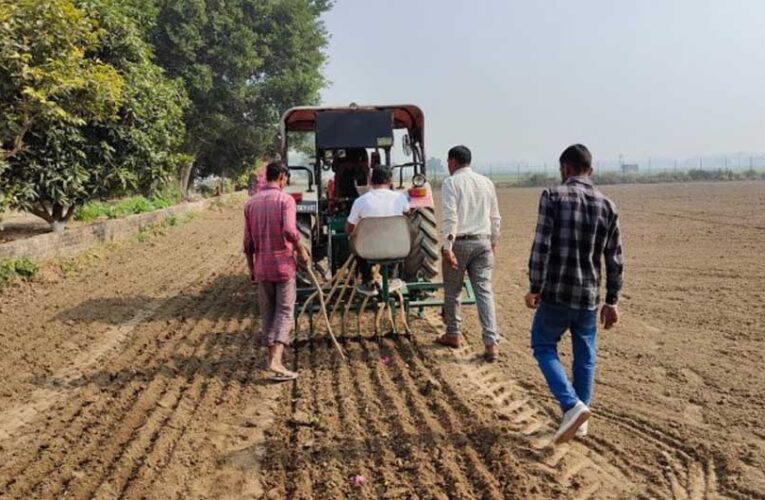 मध्य प्रदेश के मालवा में किसान का रुझान एक बार फिर गेहूं की ओर बढ़ा, बंपर पैदावार की उम्मीद