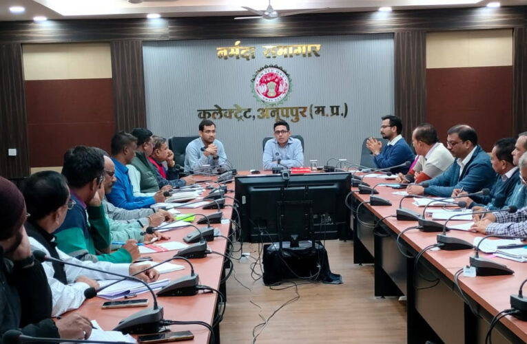 राजस्व अधिकारी गंभीरता के आधार पर चिन्हित एवं लंबित प्रकरणों का निराकरण करें-कलेक्टर