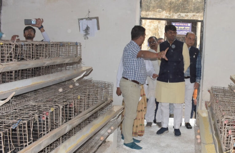 विश्वविद्यालय पशुपालन के क्षेत्र में अनुसंधान कार्य में तेजी लाए: पशुपालन मंत्री पटेल