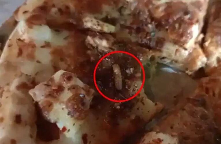 शहडोल में पिज्जा में निकला जिंदा कीड़ा, अधिकारी ने दिए जांच के आदेश
