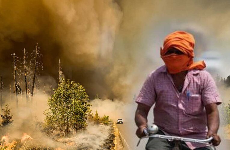 2024 सबसे गर्म साल बनकर ही रहेगा, क्लाइमेट एजेंसी ने जारी की पूरी दुनिया को अलर्ट करने वाली रिपोर्ट