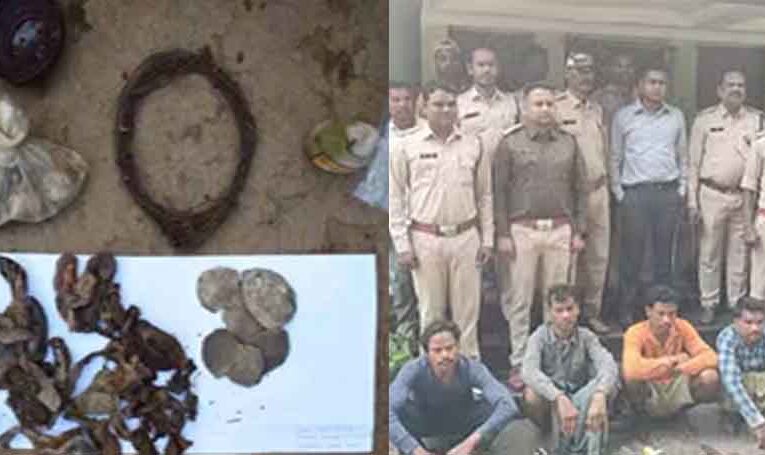 छत्तीसगढ़-बलौदाबाजार में जंगली जानवरों के पांच शिकारी गिरफ्तार, पुलिस गश्त के दौरान की कार्रवाई