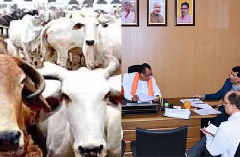 राजस्थान-जयपुर में पशुपालन मंत्री ने ली बैठक, मोबाइल वेटरिनरी यूनिट के विशेष प्रचार प्रसार के दिए निर्देश