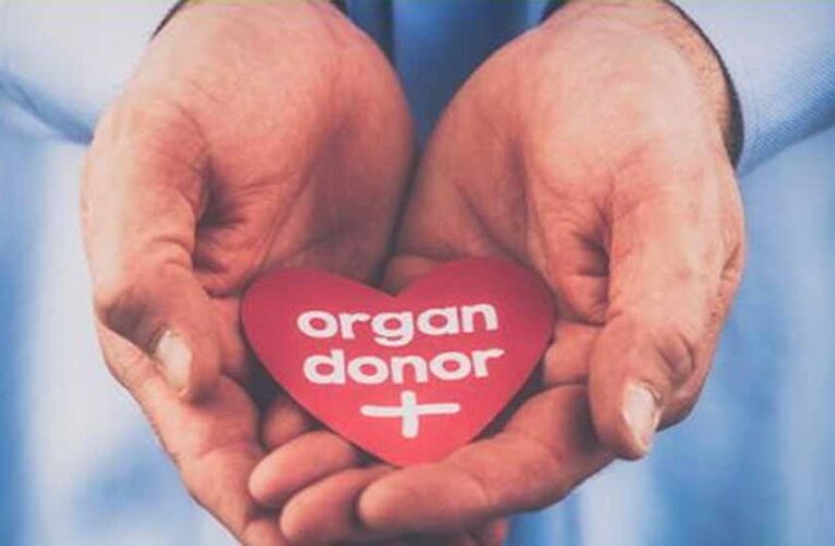 अब उज्जैन और बुरहानपुर में भी हो सकेगा अंग प्रत्यारोपण, ऑर्गन एंड टिशू ट्रांसप्लांट आर्गेनाइजेशन ने दी अनुमति