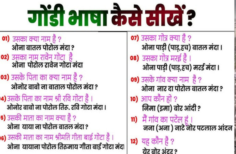 शिक्षा के प्रसार के लिए डिंडोरी के बजाग में नया प्रयोग