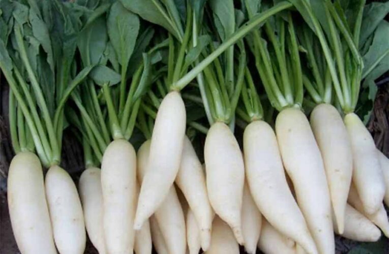 पत्ते पोषक तत्वों से भरपूर होते हैं मूली के पत्ते, बनाएं टेस्टी साग