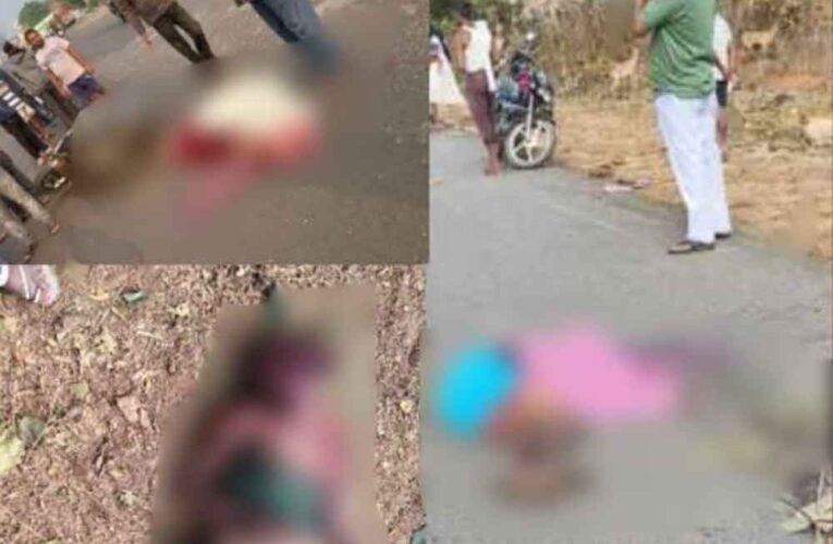 छत्तीसगढ़-30 यात्रियों से भरी बस खड़े ट्रक से टकराई और ट्रक ने बाइक सवार दंपत्ति को रौंदा, पांच हादसों में 6 की मौत