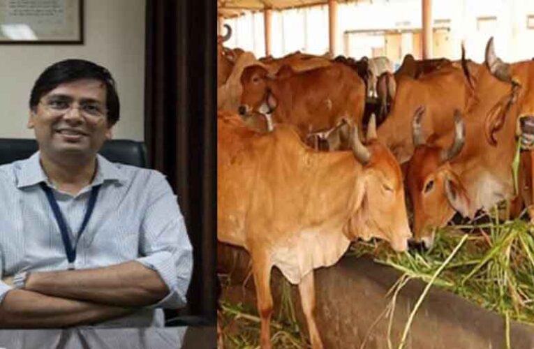 राजस्थान-गोपालन सचिव डॉ. समित शर्मा ने दिए निर्देश, गौशालाओं और डेयरियों के गौवंशों का शीतकालीन एवं सामान्य स्वास्थ्य प्रबंधन करें