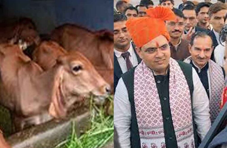 राजस्थान-जयपुर में गौवंश में अंधता निवारण पर कार्यशाला, सांगानेर की पिंजरापोल गौशाला में आयोजन
