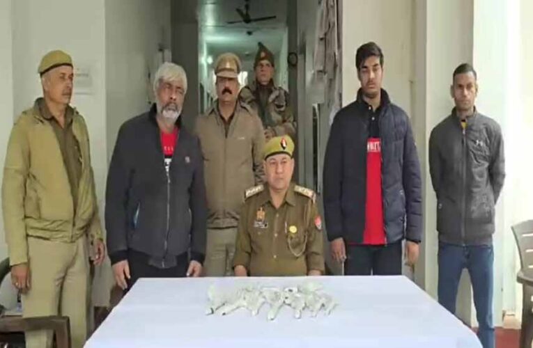 आरोपी रिज़वान अंसारी जमानत पर छूटा तो मनाया ऐसा जश्न, फिर जेल पहुंचा