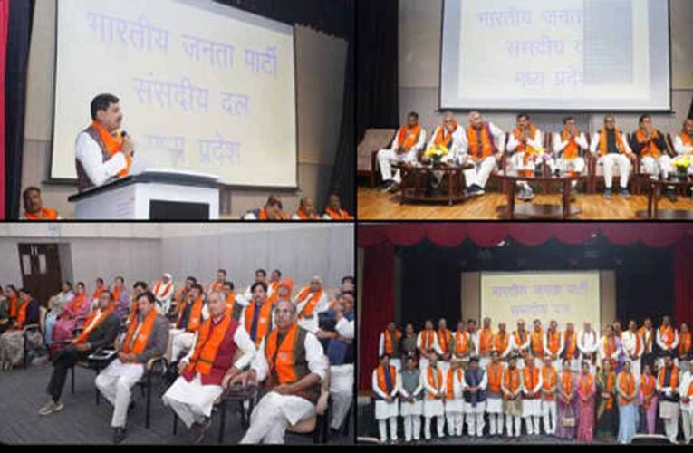 मध्यप्रदेश भाजपा संसदीय दल की बैठक नई दिल्ली में संपन्न, प्रदेश सरकार के एक वर्ष पूरे होने पर जनकल्याण पर्व को लेकर चर्चा