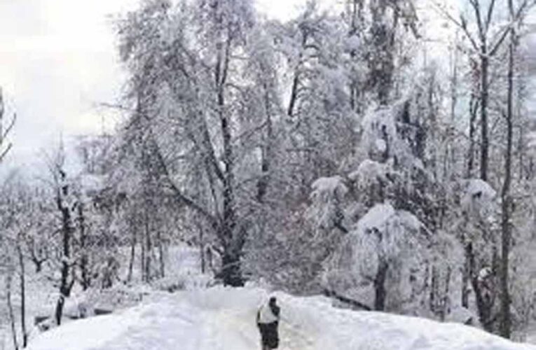 हिमाचल प्रदेश में भीषण शीतलहर, लाहौल-स्पीति में -13 डिग्री पारा, शिमला में सीजन की सबसे सर्द रात