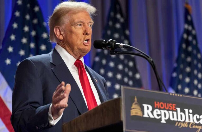 अमेरिका के नवनिर्वाचित राष्ट्रपति डोनाल्ड ट्रंप शपथ लेते ही अवैध प्रवासियों पर सख्त एक्शन लेने की तैयारी में