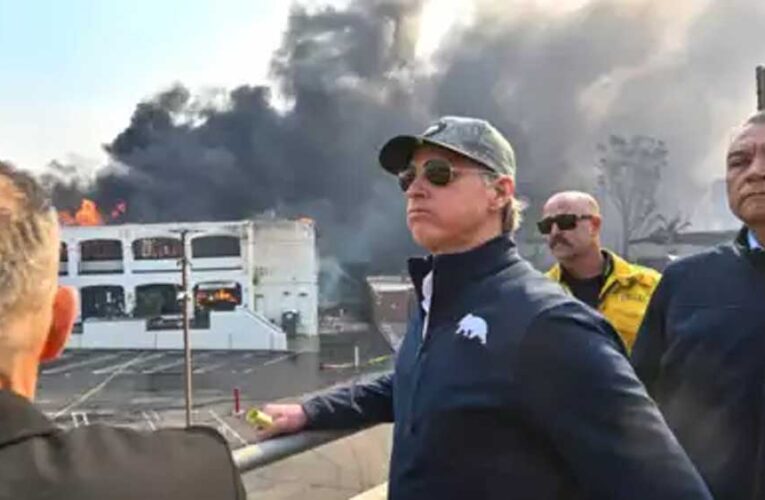 लॉस एंजेलिस के जंगलों में आग की वजह डेल्टा स्मेल्ट फिश: डोनाल्ड ट्रंप