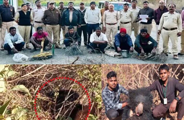 छत्तीसगढ़-मरवाही में जाल में फंसकर मादा भालू की मौत, वन अमले ने शावक का रेस्क्यू कर 4 शिकारियों को किया गिरफ्तार