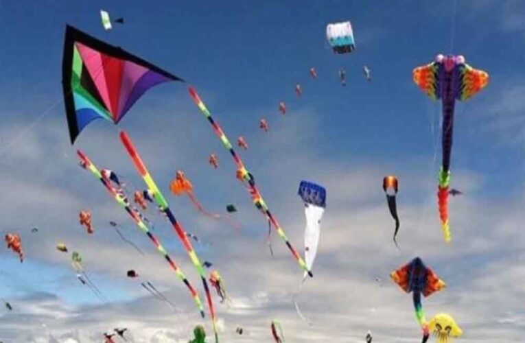 राजस्थान-मकर संक्राति पर पतंगबाजी के लिए जारी की एडवायजरी, एनजीटी के आदेशों का पालन जरूरी: सचिव