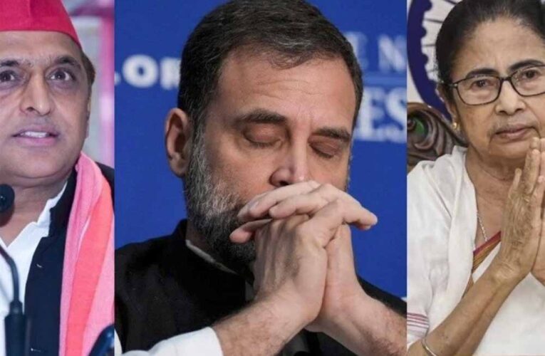 भाजपा को हराने के लिए जरूरी है कि आम आदमी पार्टी मजबूत रहे, हम आप पार्टी का समर्थन करेंगे: कुणाल घोष