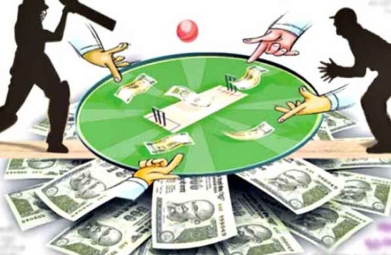 IPL 2025: बिलासपुर की हर गलियों में सटोरिए सक्रिय, क्रिकेट पर लगा रहे दांव