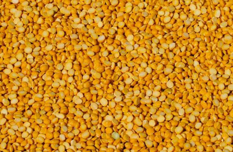 मोदी सरकार किसानों से एमएसपी पर खरीद रही तुअर दाल, पहले के मुकाबले तेजी दर्ज