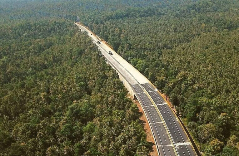 रायसेन में बनेगा 120 करोड़ में बन रहा एलिवेटेड कॉरिडोर, जंगल के बीच से निकलेगी सड़क, इन दो जिलों को जोड़ेगी