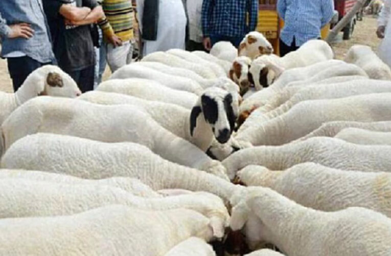 इस्लामिक देश के सुल्तान ने मुस्लिमों से की अपील बकरीद पर ना दें कुर्बानी