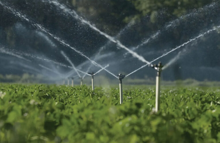 सिंचाई के लिए रोजाना जरूरत का आधा पानी ही दे रहा राजस्थान, मंत्री तुलसी सिलावट ने दर्ज कराई आपत्ति